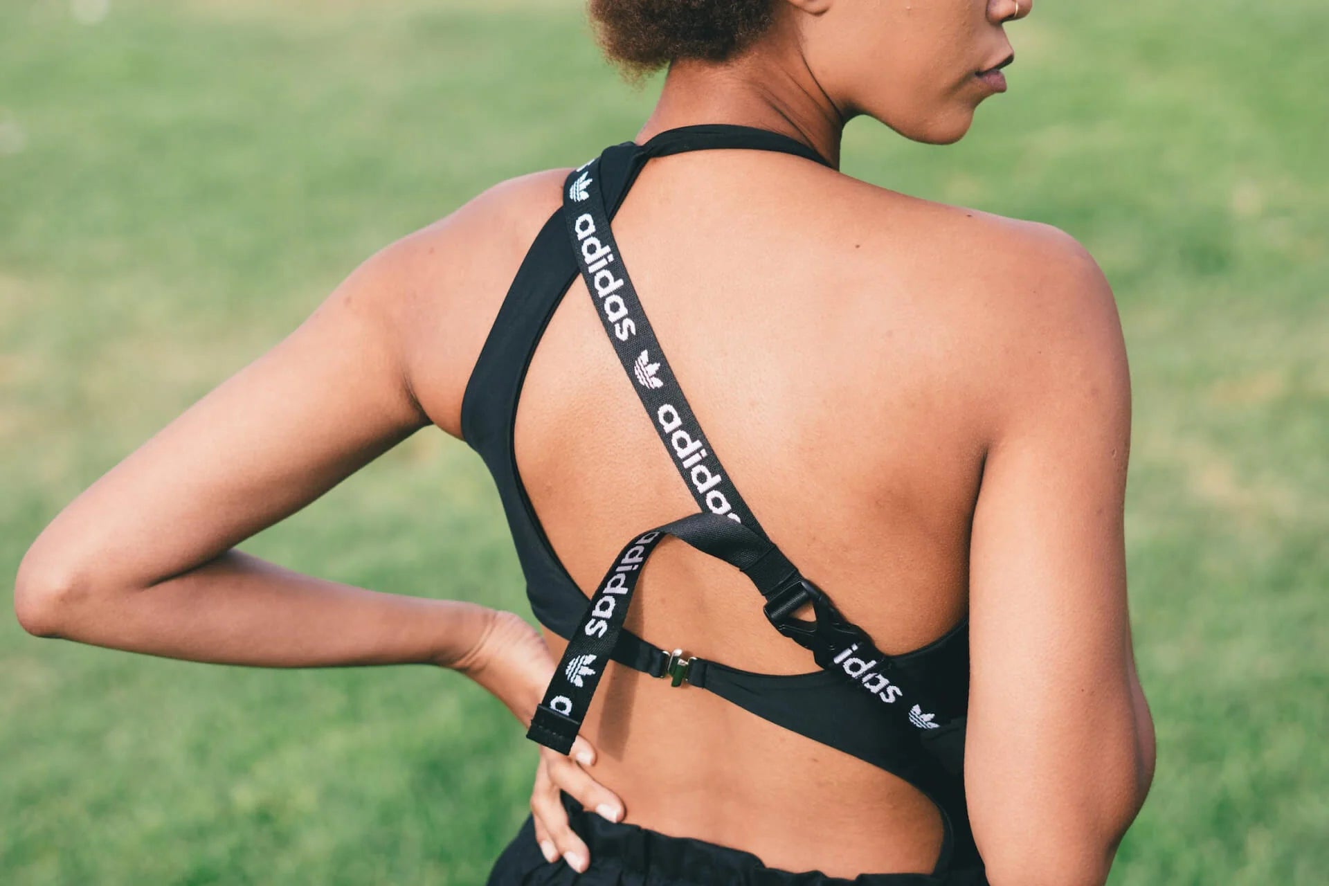 Transparent Trends: A Cool Guide for Stocking Newbies